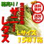 【送料無料(本州) 箱売 消費税込】長野県産他 サニーレタス Lサイズ 15入 1箱(業務用 さにーれたす さにー サニー)上越フルーツ
