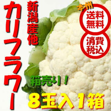 【送料無料　箱売　消費税込】長野県産他　カリフラワー　8玉1箱（業務用　かりふらわー　かりふら　カリフラ　ブロッコリー）上越フルーツ