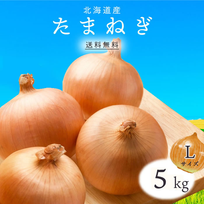【送料無料】長野産 たまねぎ L 5kg 1箱 ｜ 玉ねぎ タマネギ 玉葱 玉ネギ オニオン 箱 まとめ買い 野菜 根菜 業務用 上越フルーツのサムネイル