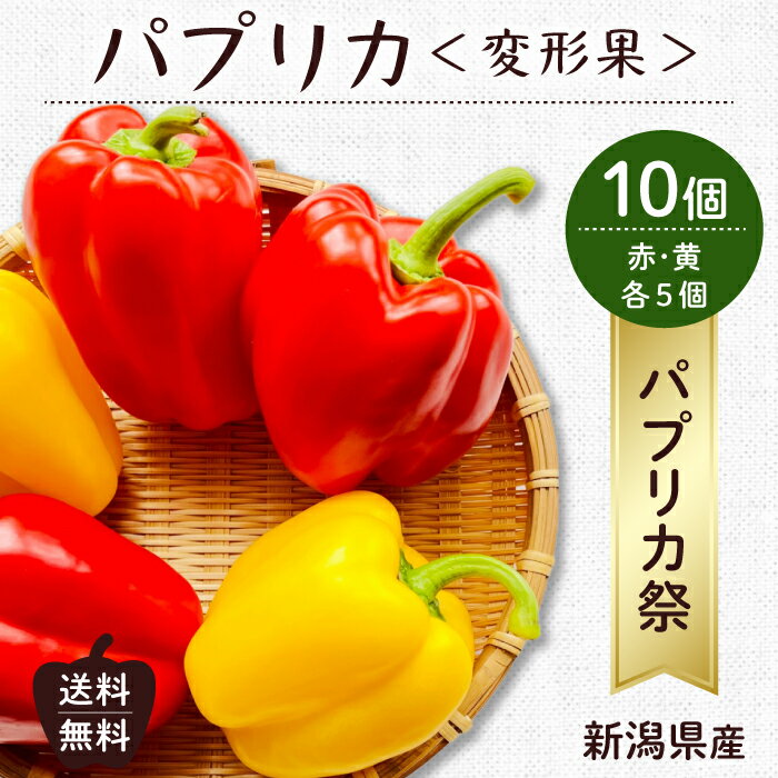 【送料無料 箱売】 国産 パプリカ 10個 （ 赤 黄 各5個ずつ）＜ 新潟 上越 地場産 ＞ 1箱 | 業務用 赤パプリカ 赤色 黄パプリカ 黄色 ぱぷりか ピーマン お取り寄せ 夏野菜 野菜 まとめ買い 新鮮果物 上越フルーツ