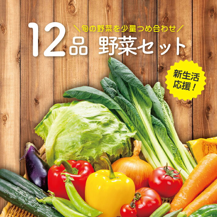 【スーパーSALE10％OFF】【本州送料無料】定番 野菜セ