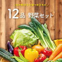 【 本州送料無料!】定番 野菜セット 12品以上 使い切り 野菜詰め合わせ セット | 野菜 宅配 野菜詰合せ 詰め合わせ 使い切り 食べきり 仕送り 帰省暮 ...