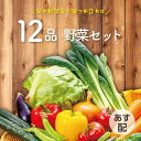 【 あす配 本州送料無料!】なかみが分かる 定番 野菜セット 12品 野菜詰め合わせ 野菜BOX 野菜 詰め合わせ 旬 食材 産地直送 新鮮 宅配 生野菜 上越...