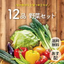 【 あす配 本州送料無料!】なかみが分かる 定番 野菜セット 12品 野菜詰め合わせ 野菜BOX 生鮮野菜 野菜 詰め合わせ 直送 旬 食材 新鮮 宅配 生野菜 上越フルーツ 人参 小松菜 セロリ エリンギ サニーレタス モロヘイヤ レンコン