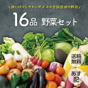 【 あす配 送料無料 】野菜セット 16品 野菜詰め合わせ 野菜BOX 野菜 詰め合わせ 旬 食材 産地直送 新鮮 宅配 生野菜 上越フルーツ キャベツ レタス じゃがいも 大根 トマト 玉ねぎ 人参 小松菜 野菜宅配