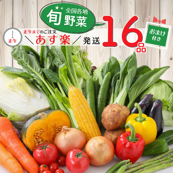 【 あす楽 送料無料 】野菜セット 16