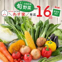 【 あす楽 送料無料 】 16品 野菜セット 野菜詰め合わせ