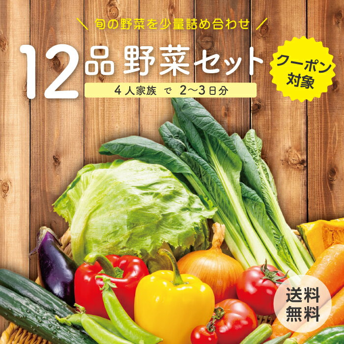 【クーポン対象】【本州送料無料】 野菜セット 12品 中身が...
