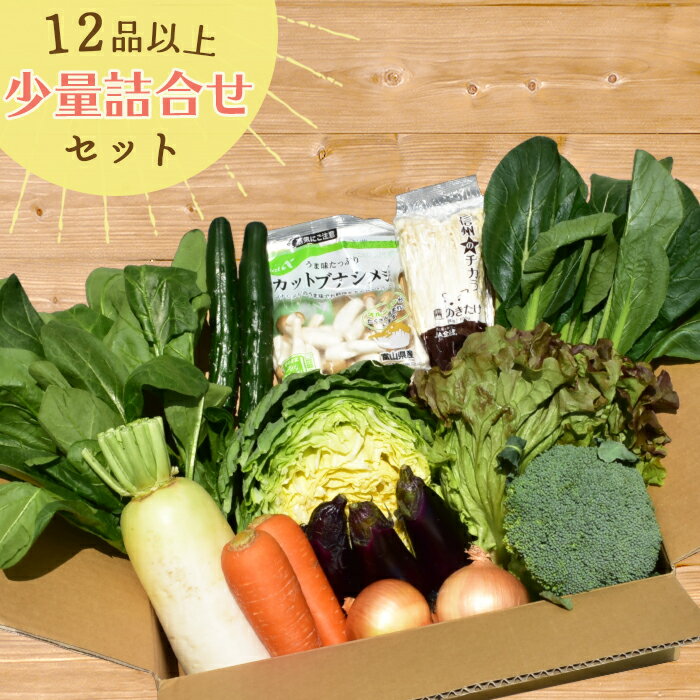 なかみが分かる 定番 野菜セット 12品以上 本州送料無料 使い切り 野菜詰め合わせ セット ｜ あす楽 野菜 野菜詰合せ 詰め合わせ 使い切り 食べきり 母の日 父の日 お中元 仕送り 帰省暮 新潟 旬 自宅待機 食品 上越フルーツ