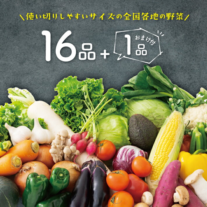 【スーパーSALE 10％OFF】【送料無料】16品 野菜セット 野菜詰め合わせ ★ 選べるおまけ付 ★ 野菜 野菜詰合せ 詰め合わせ 通販 旬 お取り寄せ お取り寄せグルメ 贈り物 食品 仕送り 上越フルーツ