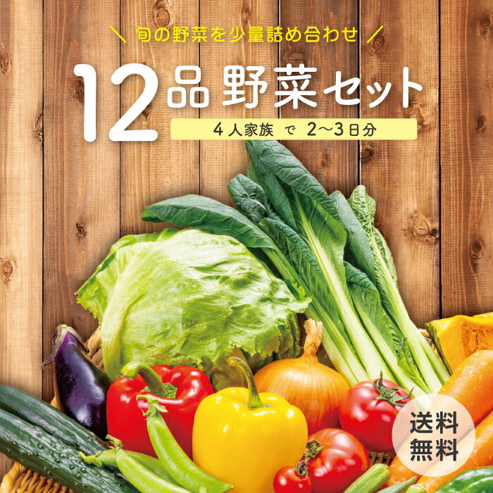 【本州送料無料】 野菜セット 12品 春野菜 旬 使い切りサ