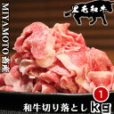 長崎県 宮本畜産の経産牛 黒毛和牛 切り落とし 1kg(500g×2パック) 1kgあたり7,200円 母の日 父の日 敬老の日 牧場直送 黒毛和牛 和牛 経産牛 ブランド牛 国産牛 銘柄牛 焼肉 BBQ キャンプ 長崎県産 九州産 冷凍 ギフト 記念日 冷凍 肉の旨みを堪能できる自慢の『経産牛』切り落とし。長崎県の風土と伝統の味わいを、ご自宅で存分に堪能いただけます。長崎県西海市の『宮本畜産』と言う牧場からの直送です。宮本畜産の『経産牛』は、個体差はありますが非常に上質なお肉です。個人で少人数で営んでいる牧場なので、この牧場から出荷されるお肉はまだまだ知られていませんが、味は確かです。長崎県西海市の恵まれた自然環境で育った牛は、美味しさと健康面において優れた品質を誇ります。また、丁寧な食事と温かさを提供するため、生産者が一頭一頭を大切に育てています。それぞれの牛には、個性的で風味豊かな肉質があり、肉本来の旨み、味わいを楽しむことができます。お料理好きな方々にとってはまさに夢の一品。焼肉としても勿論、炒め物や牛丼等とにかく様々な料理にお使い頂けます。たっぷりのピーマンと一緒に炒める『豚肉とピーマンの黒胡椒炒め』もおススメです。肉の旨みをたっぷり堪能できる切り落とし、ぜひ一度ご賞味いただきたい逸品です。家族や大切な人々とのひと時に、この『経産牛』をぜご利用ください。※調理時の注意：十分に加熱してお召し上がりください。※お届けする商品は冷凍でのお届けとなります。解凍後はお早めにお召し上がりください。 5