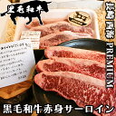 ギフト プレゼント 贈答用 長崎県 西海市 黒毛和牛 赤身 サーロインステーキ肉 1kg(500g×2パック) 和牛ステーキ 黒毛和牛ステーキ サーロインステーキ 小分け 国産牛 牛肉 和牛 黒毛和牛 お取り寄せグルメ キャンプ バーベキュー BBQ ステーキ プレミアム経産牛