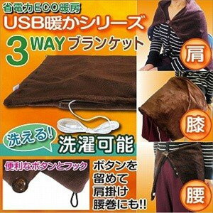 電気毛布 100×65 USB 発熱 あったか ヒーター 電熱ブランケット ひざ掛け 掛け敷き毛布 毛布 暖房 防寒 冷え対策 130bkt01