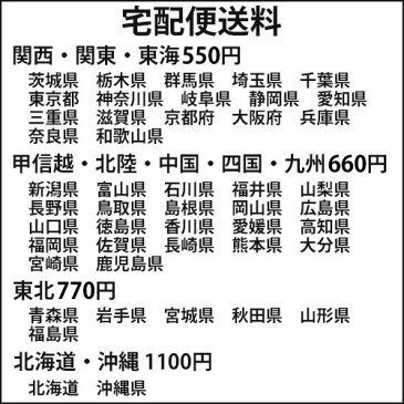 純チタン製 バーベル セイフティ ピアッサー 14ga 18mm 舌等 病院紹介状付 ピアスガイド プレゼント