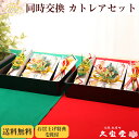 【全品5%OFFクーポン発行中】【顔合わせ食事会セット同時交換】 カトレア 同時交換 セット【略式結納 結納 結納品 結納品セット 結納セット 結納飾】
