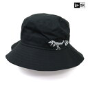 NEW ERA ニューエラ キッズ ハット Kid's Bucket01 バケット01 Dinosaur オールオーバー 13762874