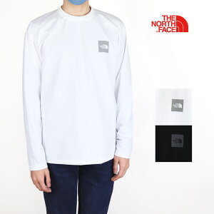 THE NORTH FACE ザ・ノースフェイス メンズ LS Graphic Airy Relax Tee ロングスリーブグラフィックエアリーリラックスティー NT12261