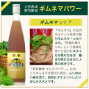 酵素ドリンク 野草酵素 ギムネマパワー　3本セット (送料無料)【D】 2