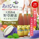 酵素ドリンク 野草酵素 ギムネマパワー 3本セット (送料無料)【D】