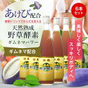 酵素ドリンク 野草酵素 ギムネマパワー 6本セット (送料無料)【D】