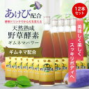 野草酵素 ギムネマパワー 12本セット (送料無料)【diet_D1812】 【endsale_18】