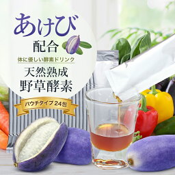 【1,000円オフクーポン！20日限定】【飲みやすい スティックタイプ 】 酵素ドリンク スティックタイプ ファスティング 個包装 人気 ダイエット サプリ ファスティング 無添加 天然熟成 野草酵素 原液100% 砂糖なし 安い お試しパウチ 24包セット 20ml×24包