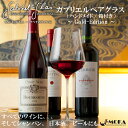 【ショップ&商品レビュー投稿後20%OFFクーポンゲット】【The Gabriel Glass 〜ガブリエルグラス〜】高級 ワイングラス ペアセット クリスタル...