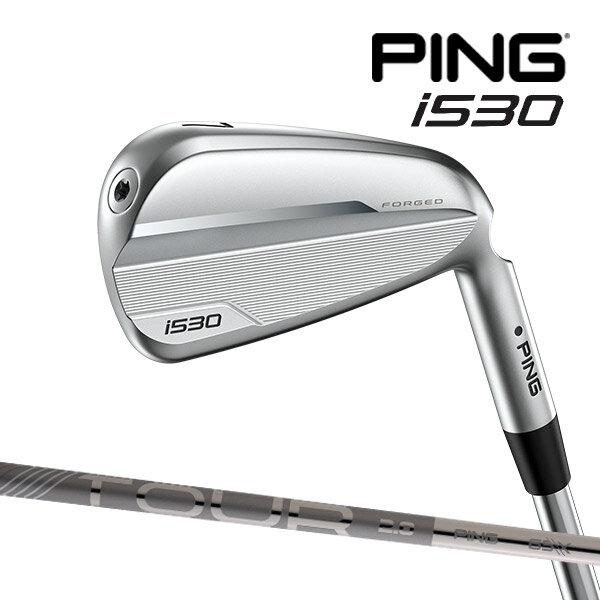 ?【24年モデル】ピン i530 アイアン5本セット(#6?9,PW) [PINGツアー2.0クロム] カーボンシャフト PING GOLF i530 IRON TOUR CHROME