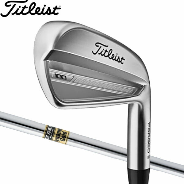 【23年モデル】タイトリスト T100 アイアン 6本セット( 5~9,P) DG S200 スチールシャフト Titleist IRON