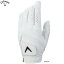 ֡22ǯSSǥۥ  ĥƥå  22 JV (Men's) Callaway Tour Authentic Glove 22 JVפ򸫤