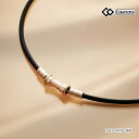 コラントッテ ABAPT TAO ネックレス スリム ラフィ ミニ シャンパンゴールド Colantotte TAO RAFFI mini 血行改善 磁力 アク...