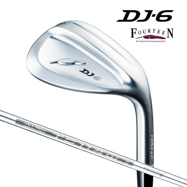 23ǯǥۥեƥ DJ-6 å [NSץ TS-114w_Ver2] 륷ե FOURTEEN WEDGE ...
