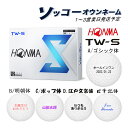 名入れ ゴルフボール 【ソッコーオウンネーム】本間ゴルフ ホンマ TW-S 1ダース(12球) 1〜3営業日発送 ギフト対応 HONMA 24B 父の日 誕生日...