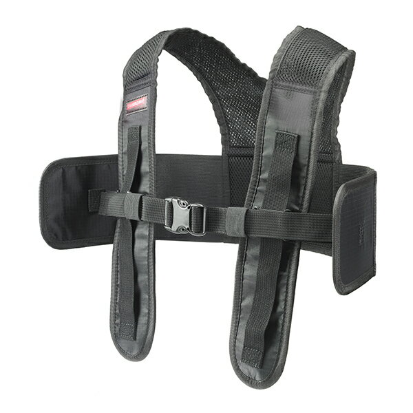 タバタ ゴルフ GV0367 TS コンプリートスイング チームセリザワ フォーム矯正 調整 姿勢 基礎力アップ バランス 安定性 手軽 自宅練習 Tabata GOLF GV-0367 25ET