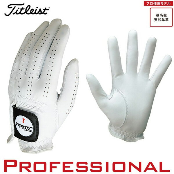 【22年継続モデル】タイトリスト プロフェッショナル・グローブ(左手用) TG77 21〜26cm (Men's) Titleist