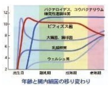 �������ե�����z ����������ʪ��/���ե����� ��50mgx4�ܡ� ���Ѳʳظ���� �ڿ��̡�2