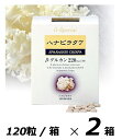 ハナビラタケ サプリメント 120粒 ラメール 【数量】2