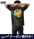 ★10%OFFクーポン発行中!バーンズ アウトフィッターズ Tシャツ メンズ Barns Outfitters LIMITED PT TUBE SS T-shirt BR-25254 半袖 クルーネック バックプリント アメカジ ダメージ加工 ヴィンテージ風 【2025SS 新作】【ネコポス対象】(4)