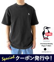 ő3000~N[|v[gI `X TVc Y CHUMS Oversized Booby Pique T-Shirt I[o[TCYh u[r[ sP TVc CH02-1186 N[lbN  ̎q I[o[TCY |Cg y2024SS Vz