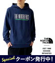 ő3000~N[|v[gI m[XtFCX XEFbg p[J[ Y THE NORTH FACE Men's TNF EST 1966 HOODIE NF0A87E5 vI[o[  g Svg t[fB[ pC y2024SS Vz