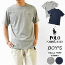 ő3000~N[|v[gI t[ TVc  POLO RALPH LAUREN {[CY |CghJ N[lbN Jbg\[ gbvX Y fB[X BOYS TEE 323832904 y䂤pPbgΏہz