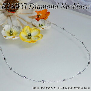 【上質ジュエリー】ホワイトゴールド (K18WG) ダイヤモンド ネックレス(D Total 0.70ct/ステーション/レーザーホール/4月誕生石)【新作】【ハイクラス】【宝石 ジュエリー】【プレゼント】【刻印無料】*