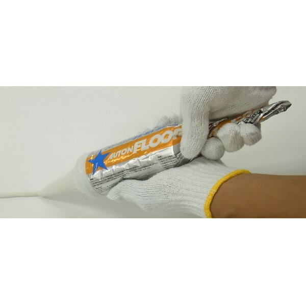 オートン フロアスター600　600ml x10本セットどっちもパック anflst600