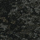 サンゲツ カーペットタイル DT-6000 F-ecoツユジ F (12枚セット入り) DT-60005