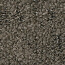 サンゲツ カーペットタイル NTH-7160 F-ecoテクスチャードマテリアル F (20枚セット入り) NTH-71603
