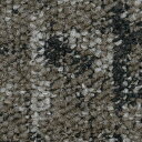 サンゲツ カーペットタイル NTH-7210 F-ecoフィールドビュープランク F (20枚セット入り) NTH-72102