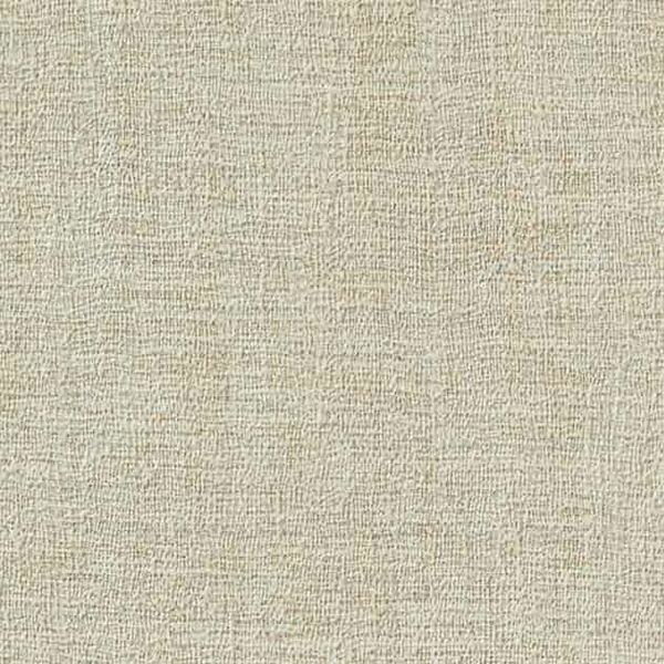 サンゲツ 壁紙 Naturescape Forest Path (1m入り) TH32018