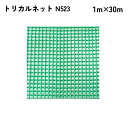 【法人限定】 タキロンシーアイ トリカルネット 30m入り N523
