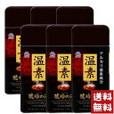 アース製薬 温素 入浴剤 琥珀の湯 600g×6個セット